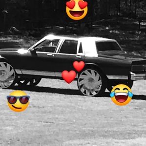 Meet your Posher, Larry